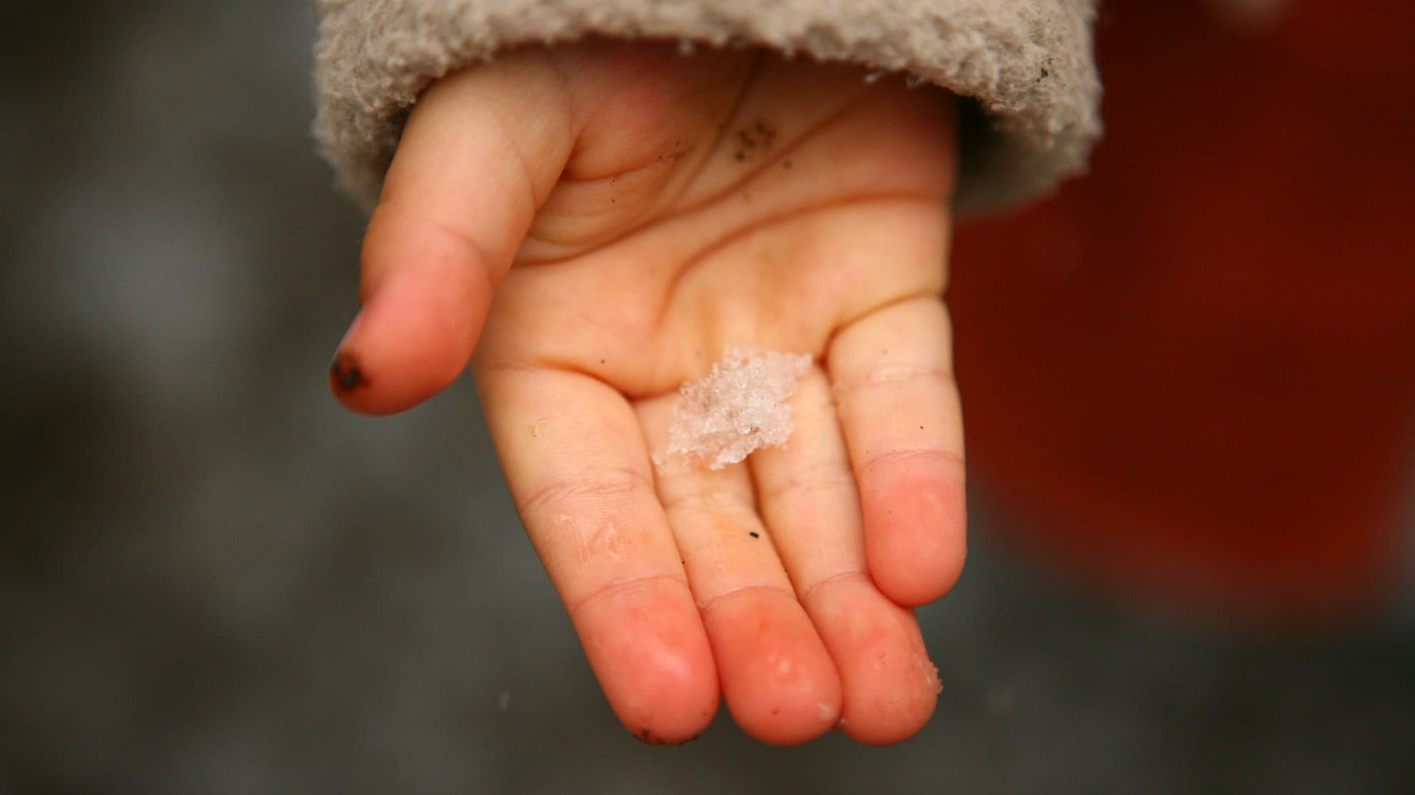 掌に雪をのせた子供